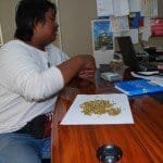 beli emas palsu beli emas palsu